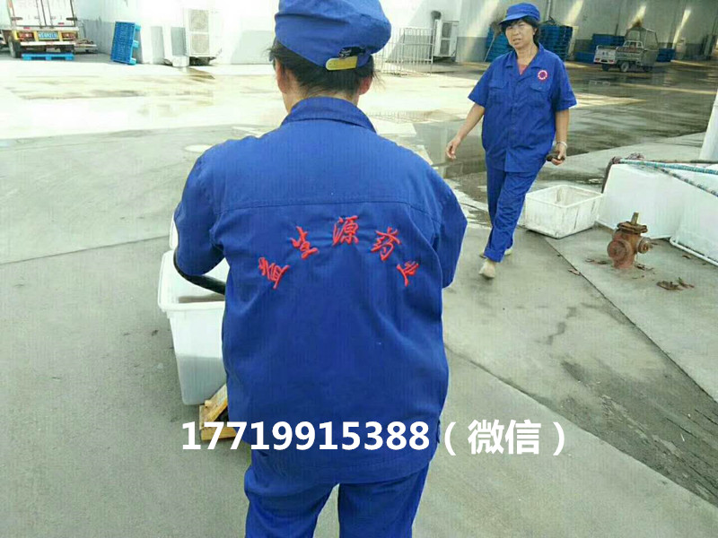 微信图片_20170914133901_副本.jpg 微信图片_20170914133901_副本.jpg